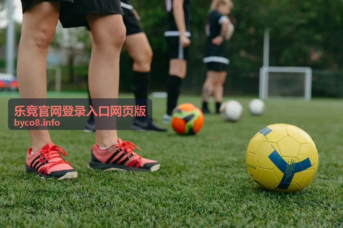 乐竞官网登录入口网页版界面示意